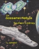 The Gossamer Nebula: Southern Colonies